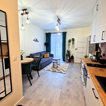 Apartament W Szklarskiej Porebie - Ostoja Parku Narodowego シクラルスカ・ポレンバ エクステリア 写真
