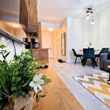 Apartament W Szklarskiej Porebie - Ostoja Parku Narodowego シクラルスカ・ポレンバ エクステリア 写真